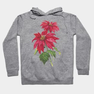 Vintage Blooming Christmas Poinsettia Hoodie